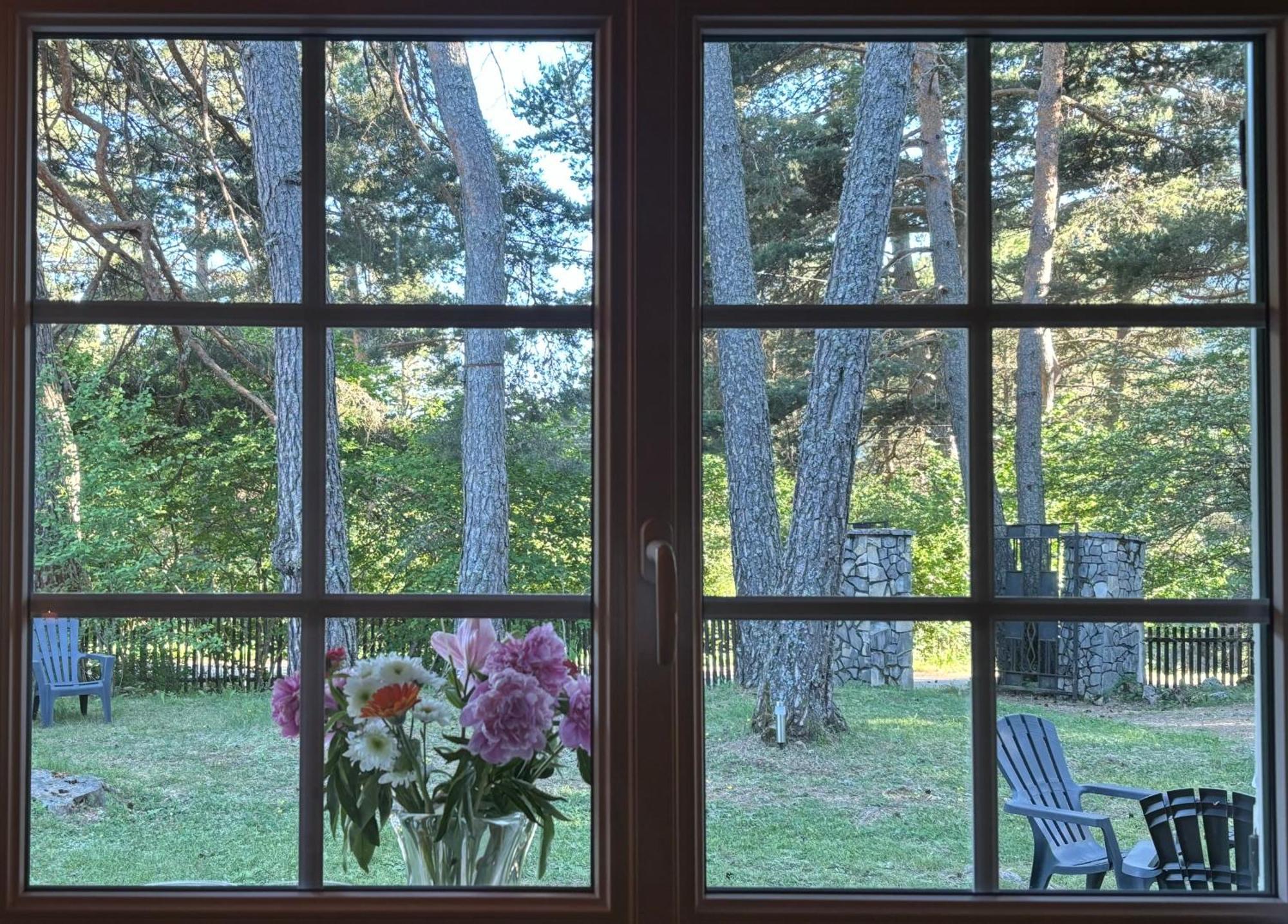 Large Riverside Chalet Near Gorges Du Verdon La Bastide  外观 照片